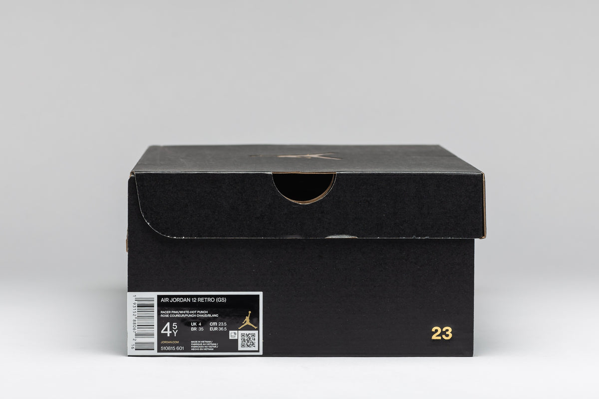 AIR JORDAN 12 RETRO (GS)