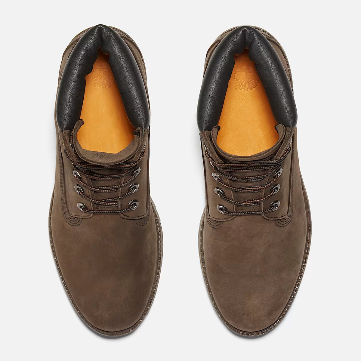 Timberland 6 Inch Premium Wp Boot