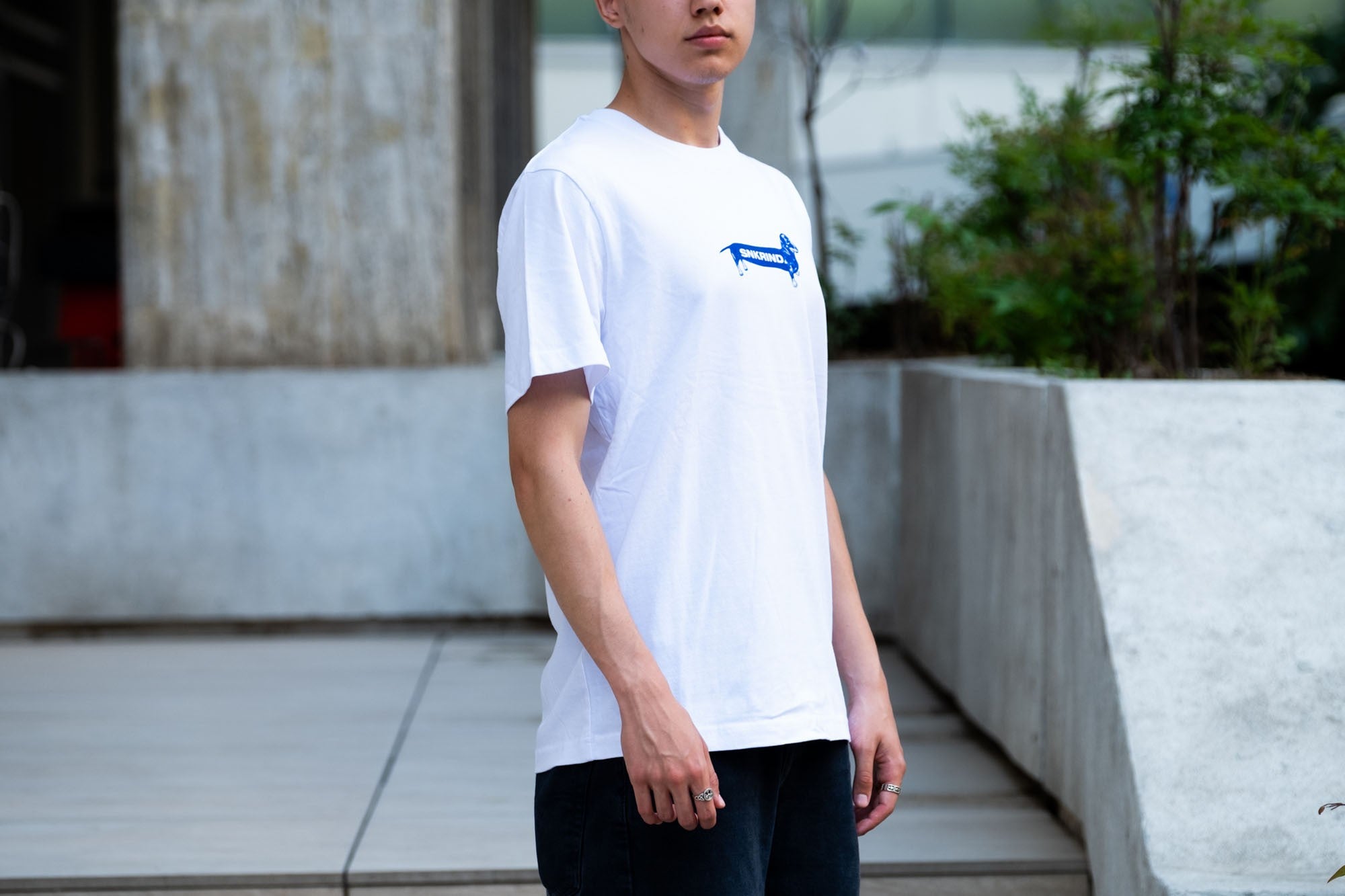 Dachshund Tee