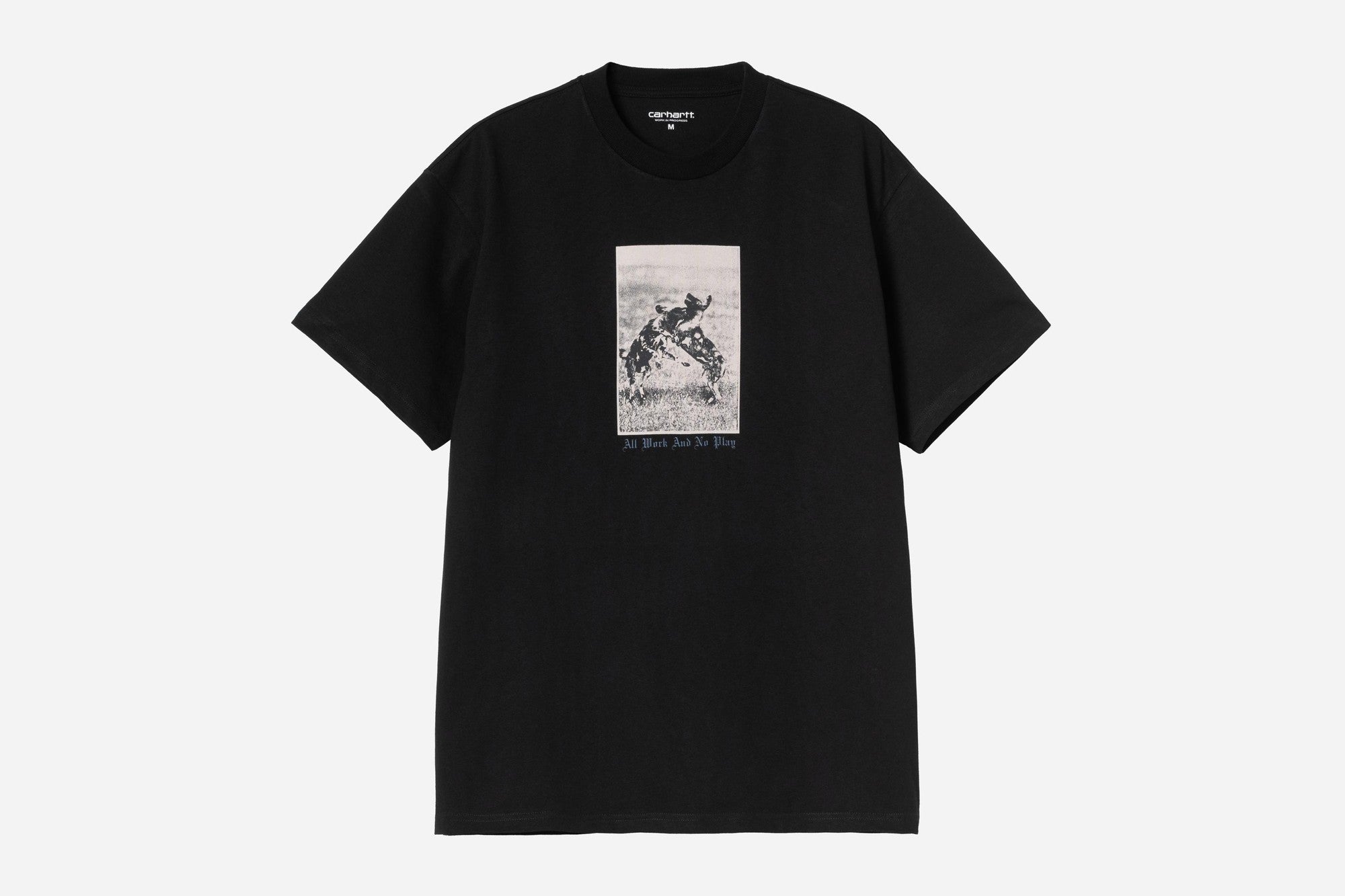 Carhartt Wipno Play T-Shirt