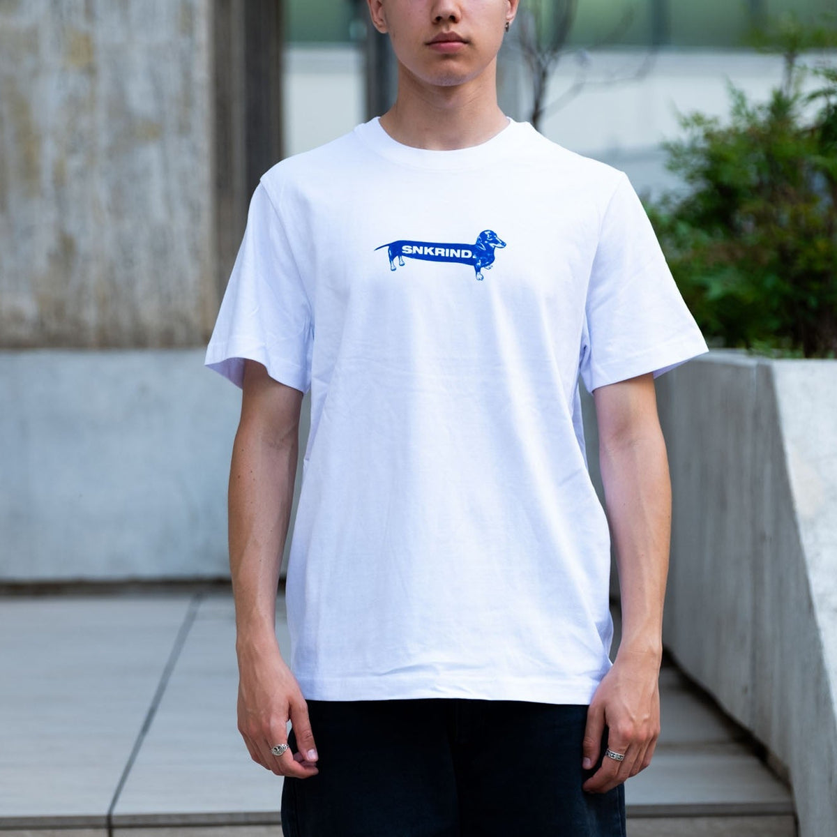 Dachshund Tee