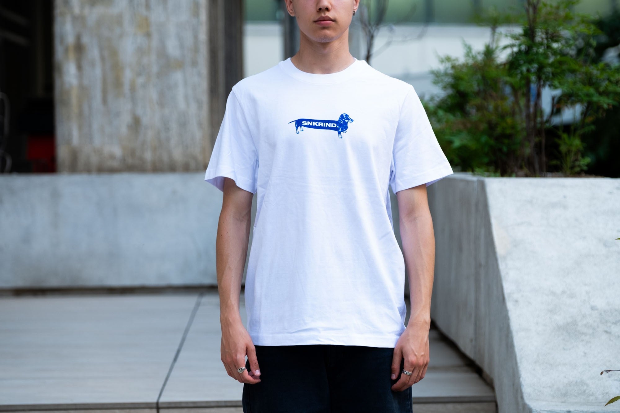 Dachshund Tee