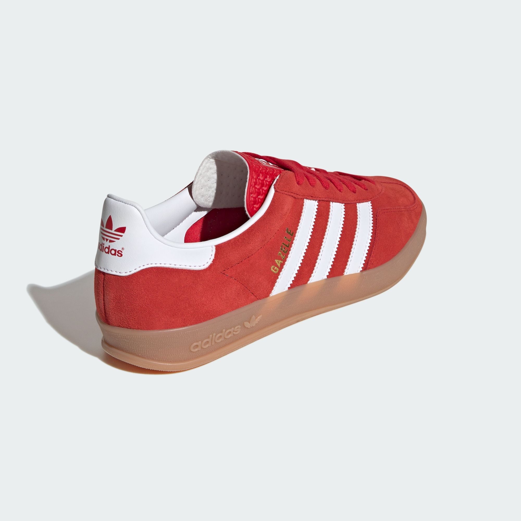 Gazelle Indoor