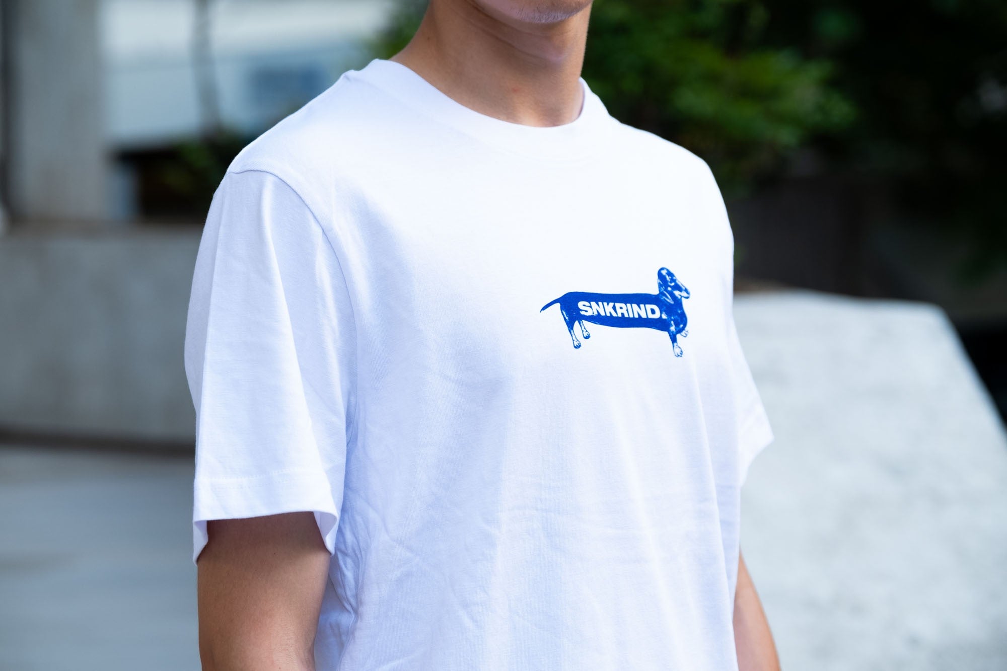 Dachshund Tee