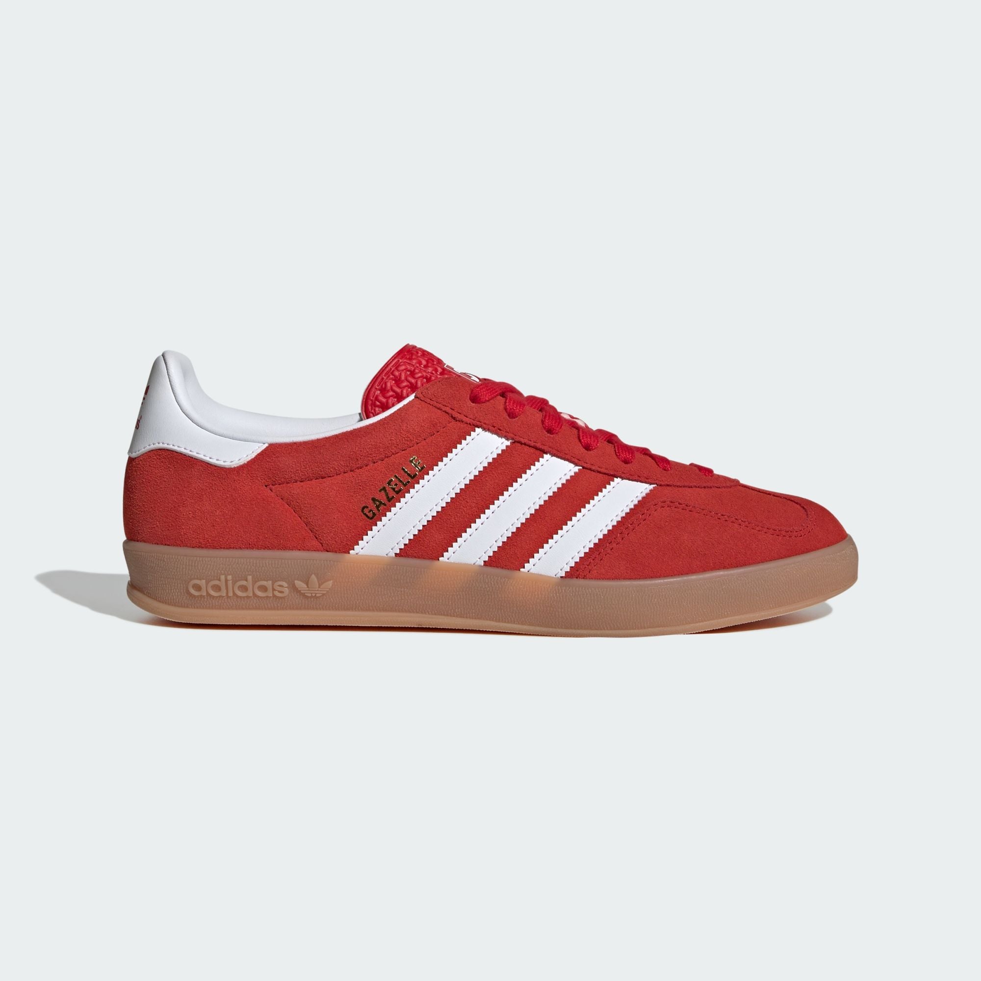 Gazelle Indoor