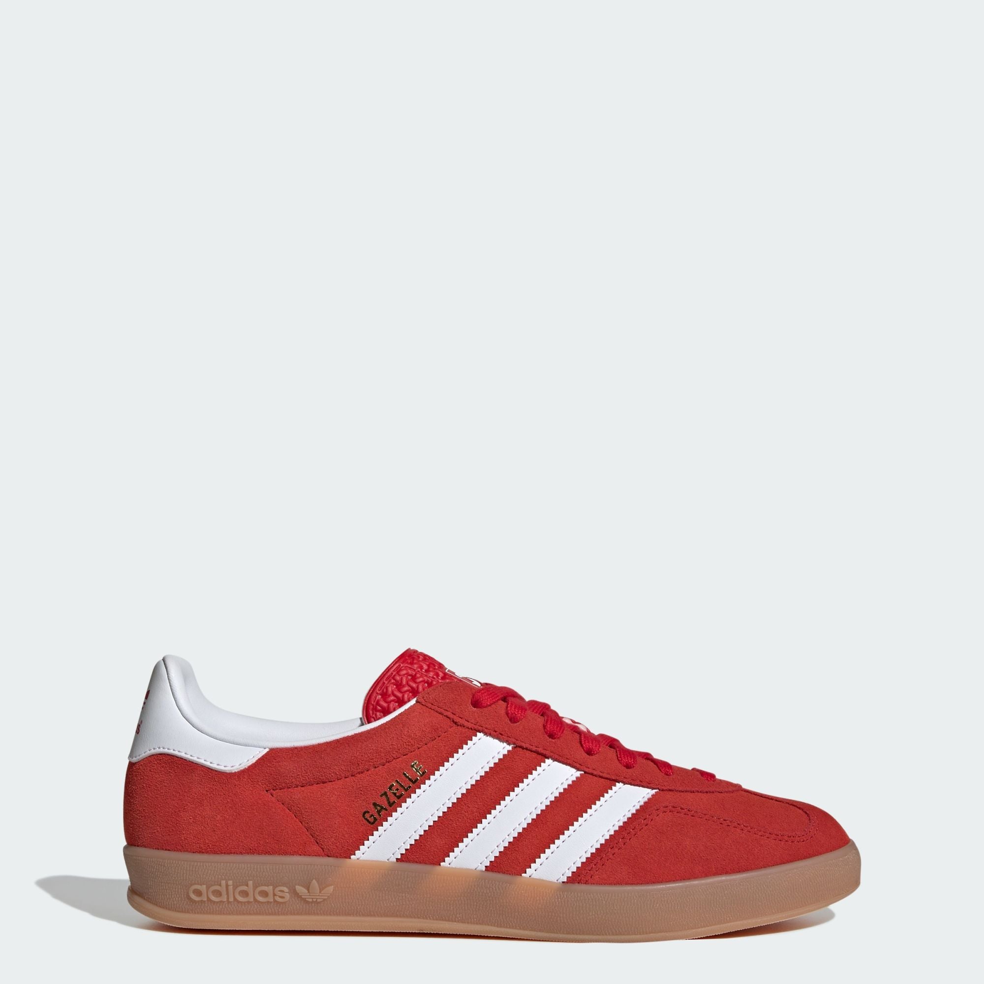 Gazelle Indoor