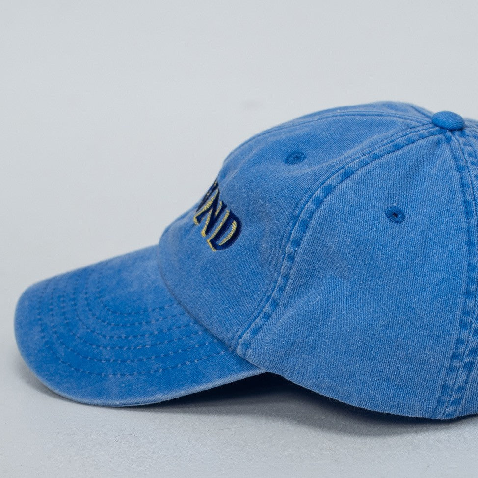 Sneaker Industry Snkrind Goods Hat